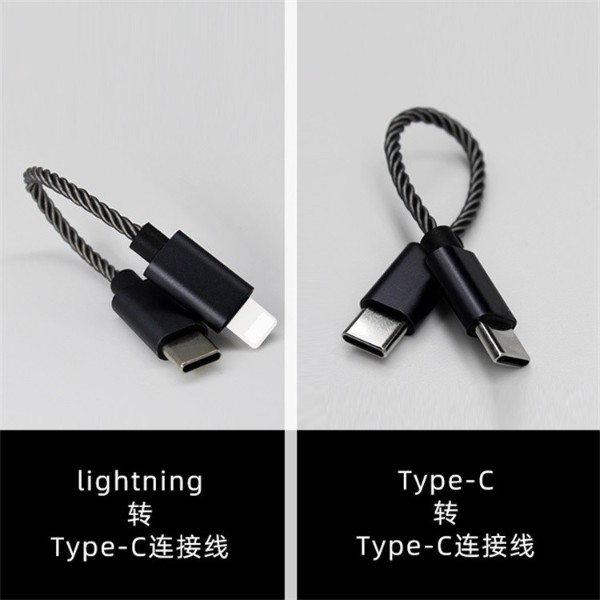 Type-C渡銀線